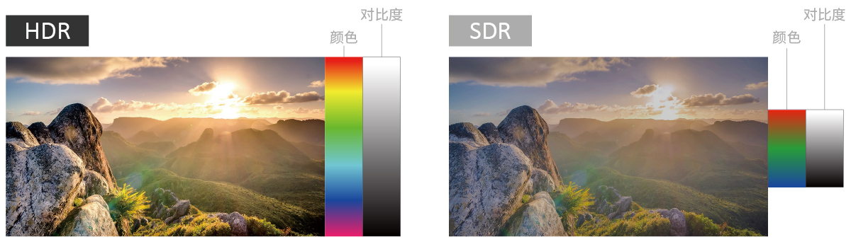 42.5英寸3G-SDI HDR 技监级监视器